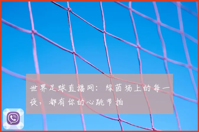 世界足球直播网：绿茵场上的每一夜，都有你的心跳节拍
