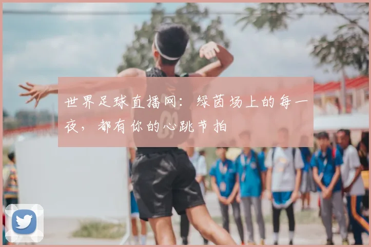世界足球直播网：绿茵场上的每一夜，都有你的心跳节拍