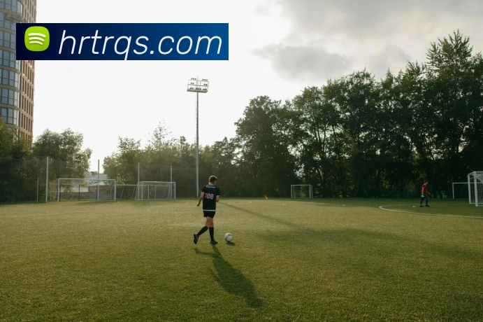 平台展示图